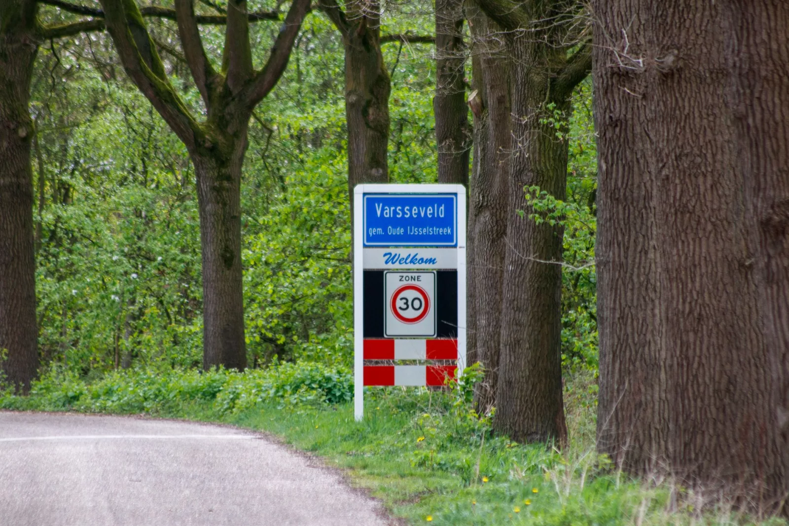 Znak informujący o przyjeździe do Varsselveld, położony pośród zieleni przy drodze.