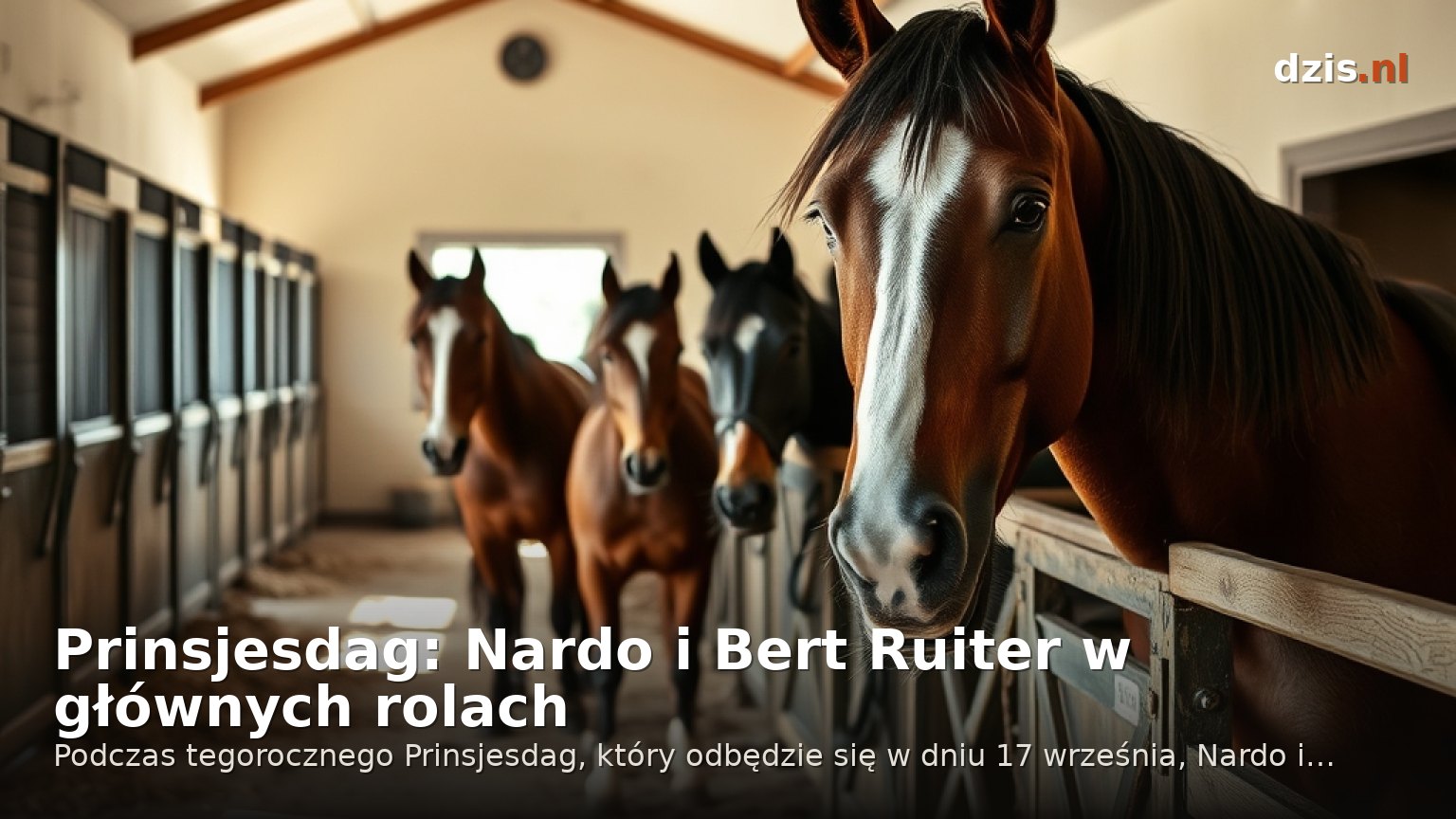 Prinsjesdag: Nardo i Bert Ruiter w głównych rolach