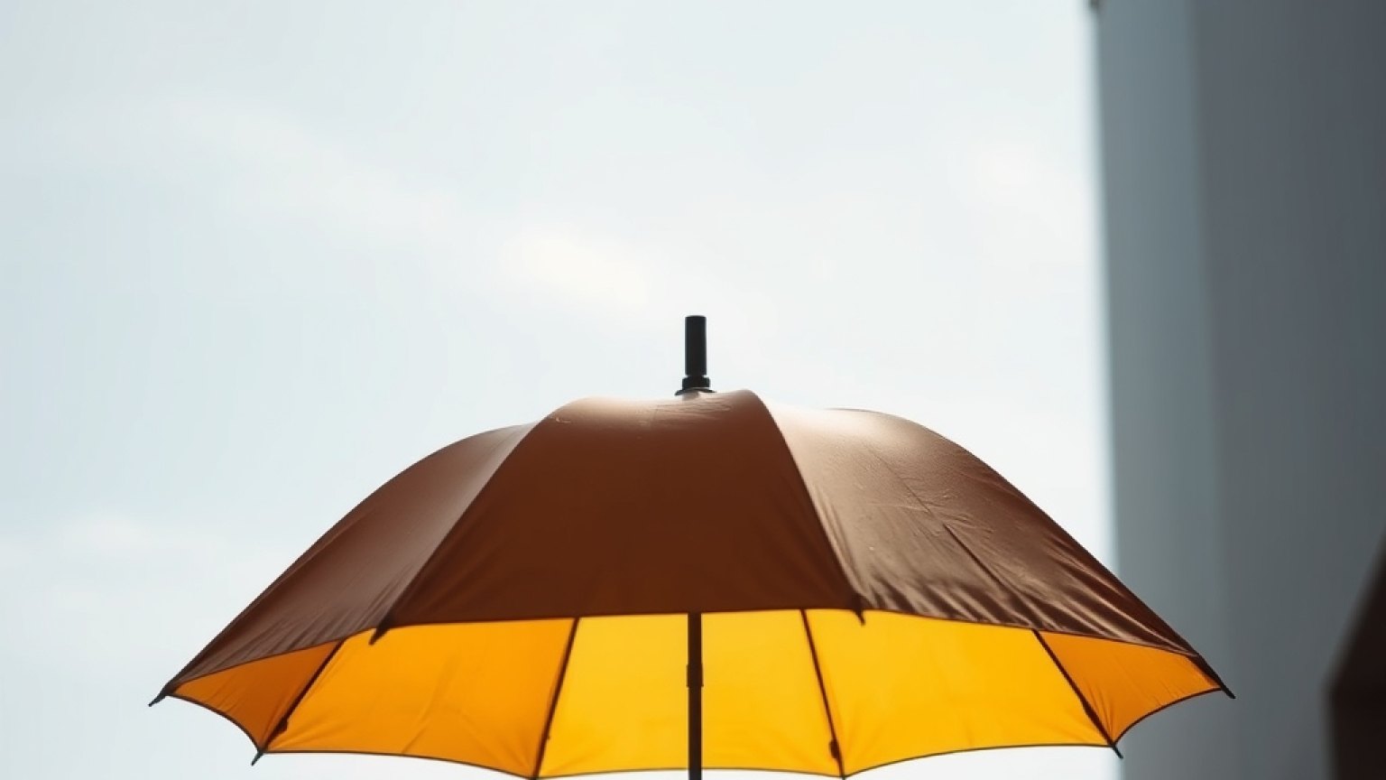 Prognoza pogody na dziś w Rotterdamie: deszcz i 20 °C